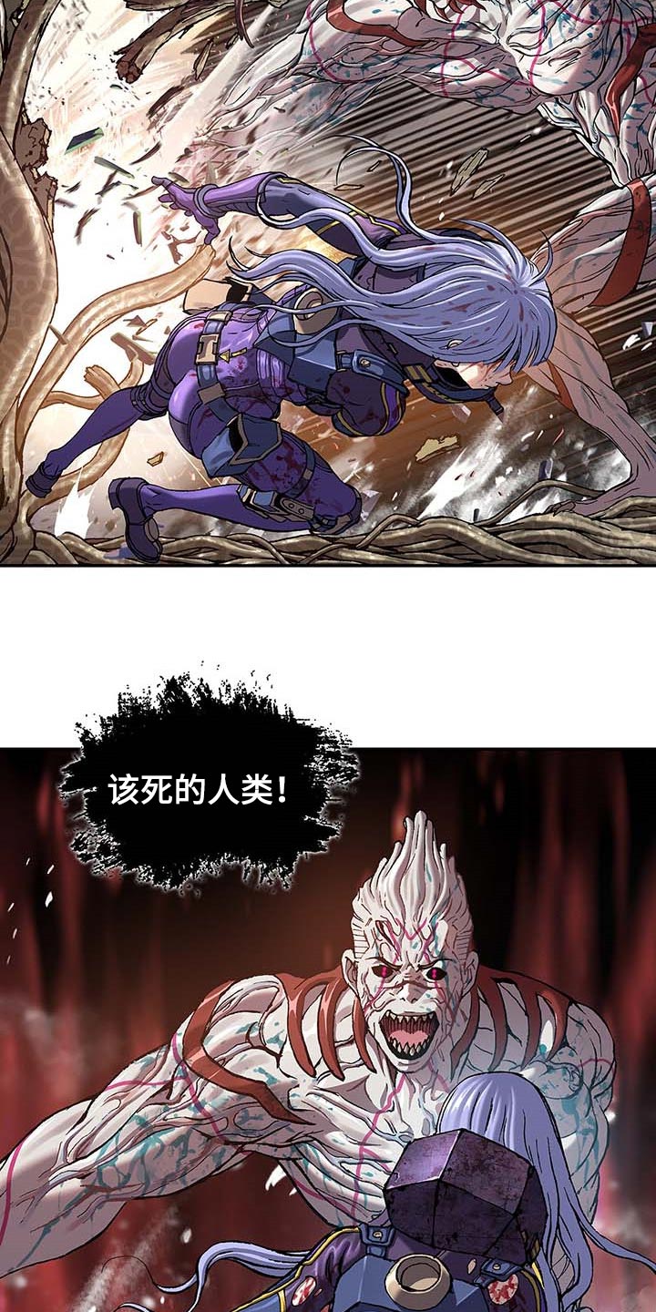 第300话19