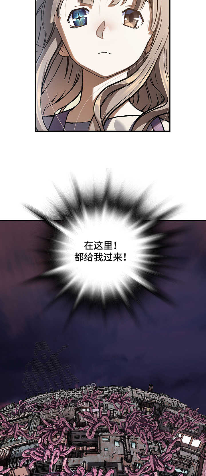第213话12
