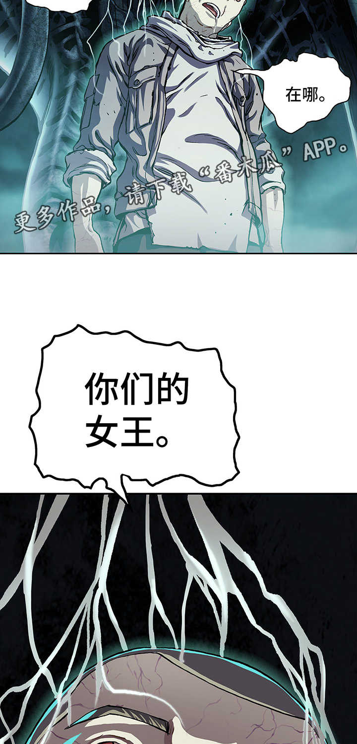 第211话19