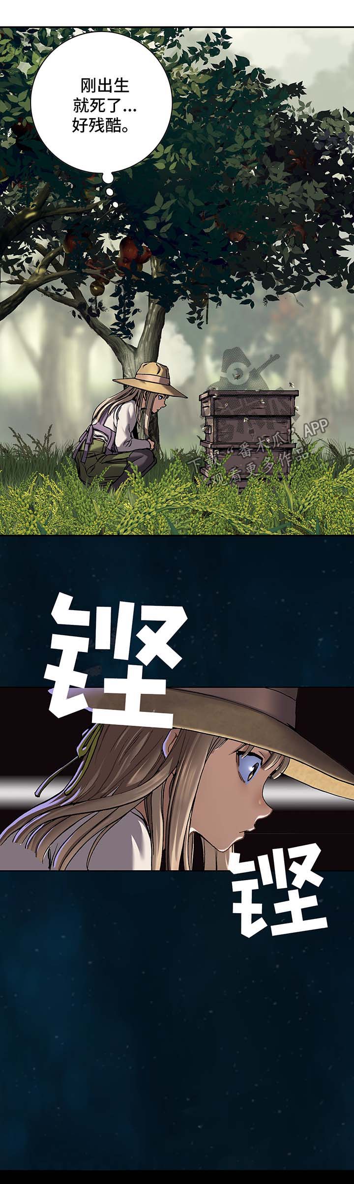 第205话0
