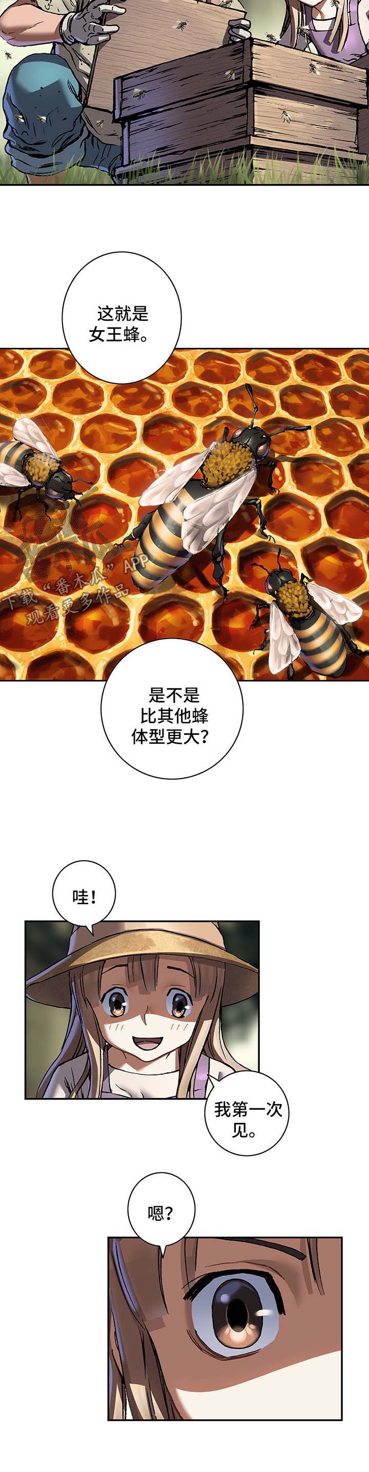 第204话6