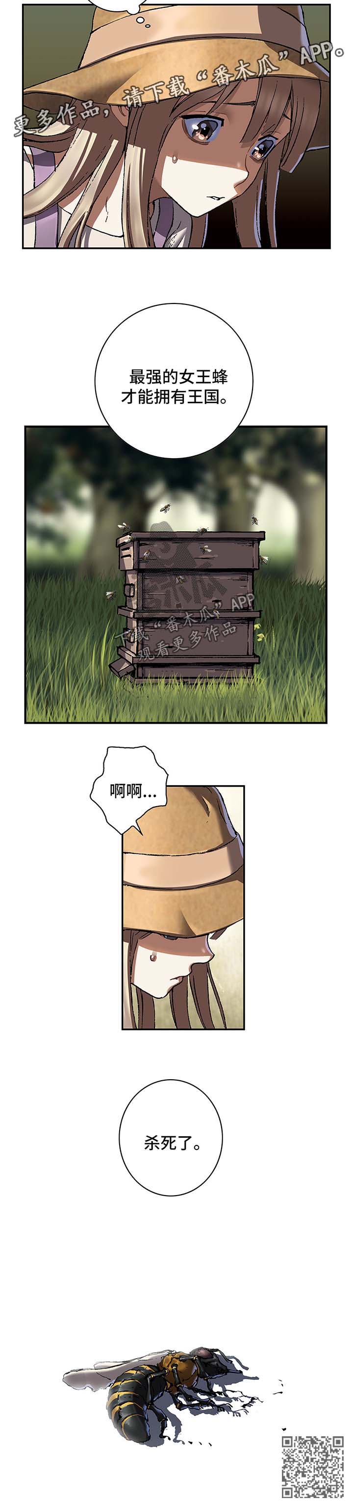 第204话11