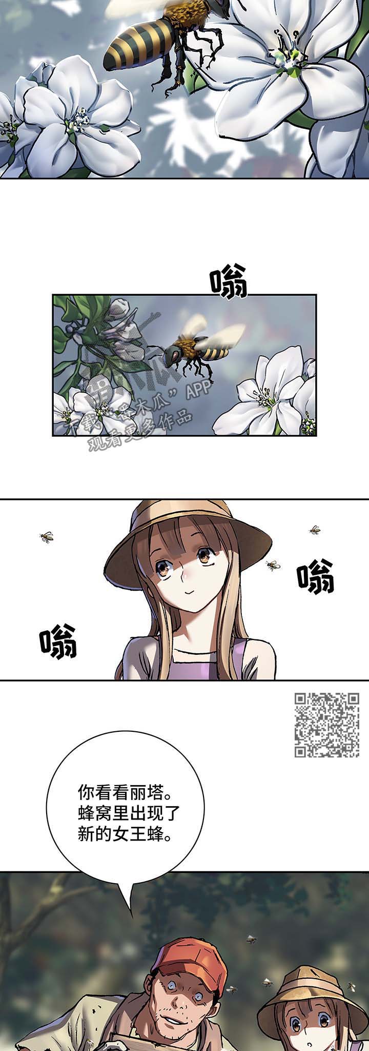 第204话5
