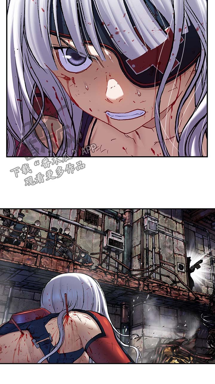 第175话5