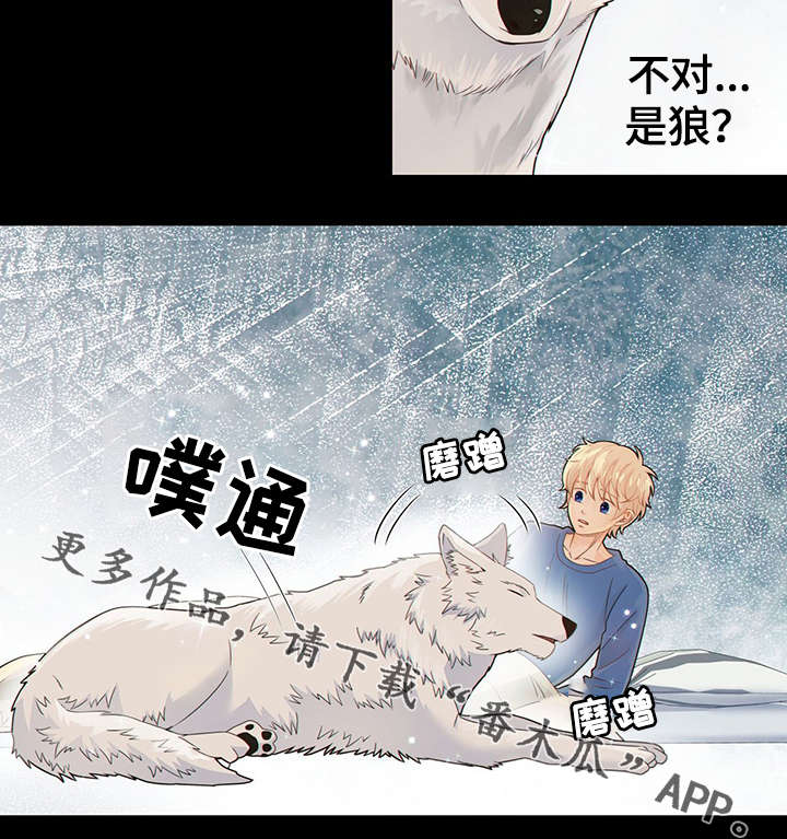 第42话31