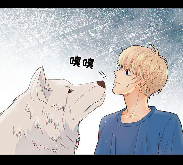 第42话32