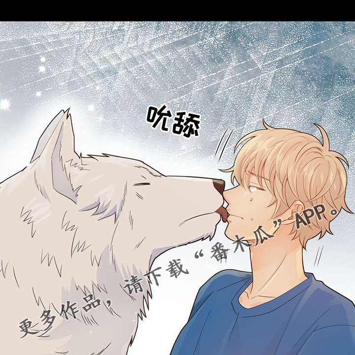 第42话33