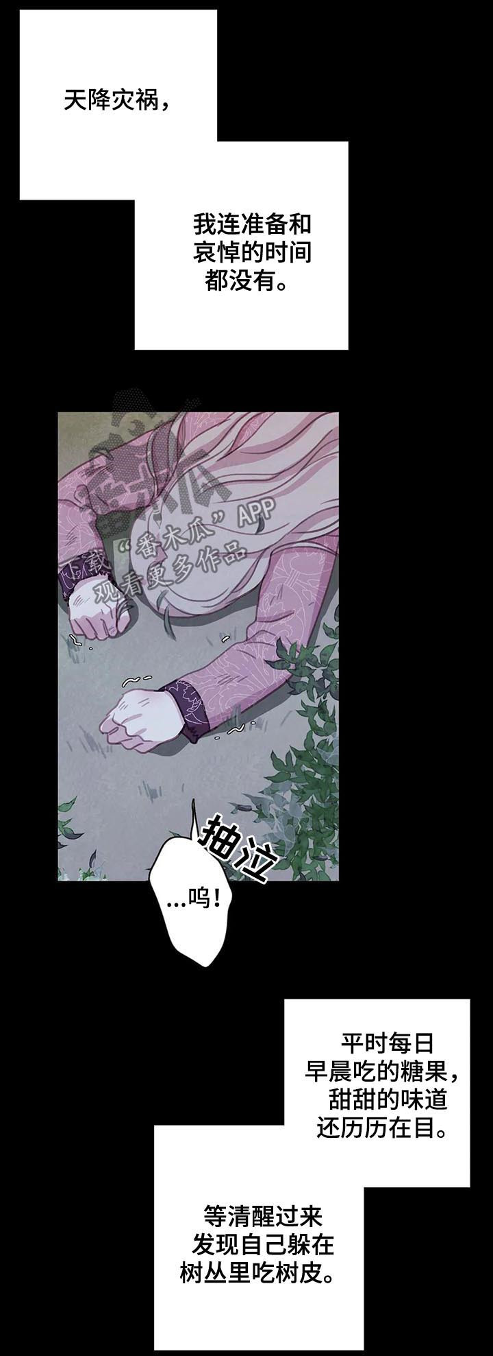 第81话11