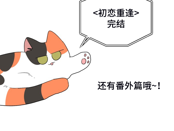 第116话31