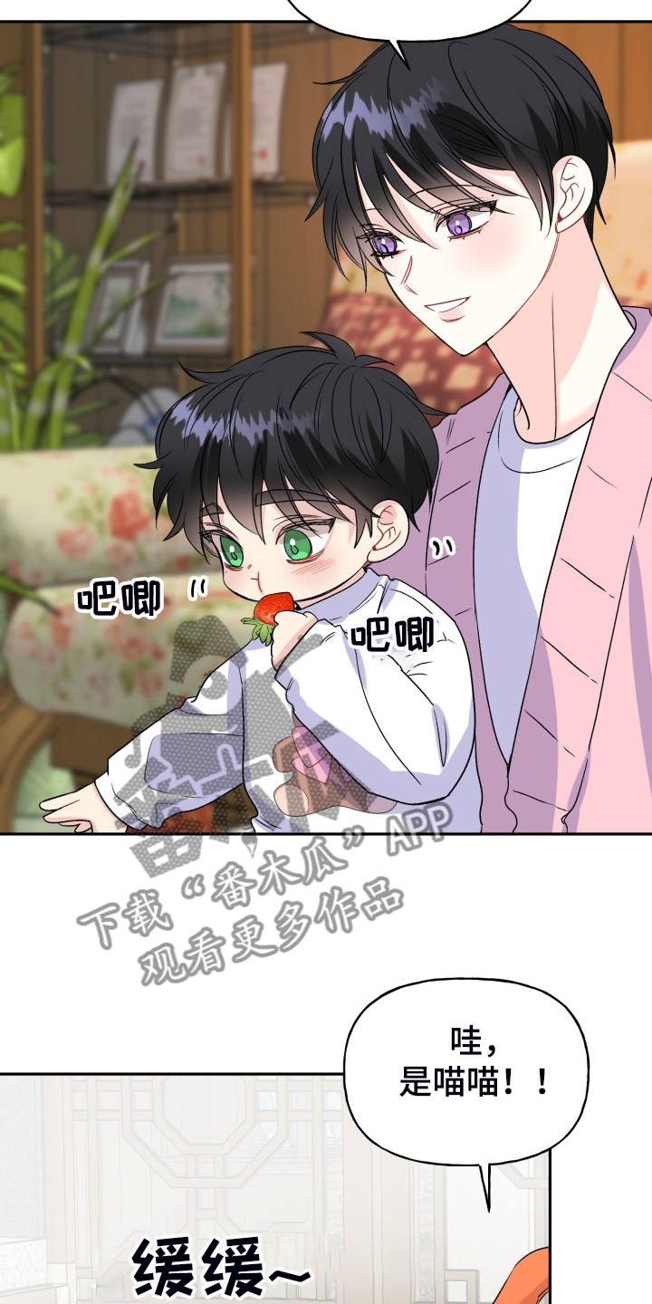 第116话5