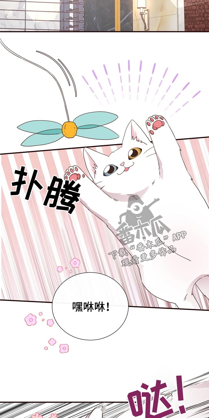 第64话4