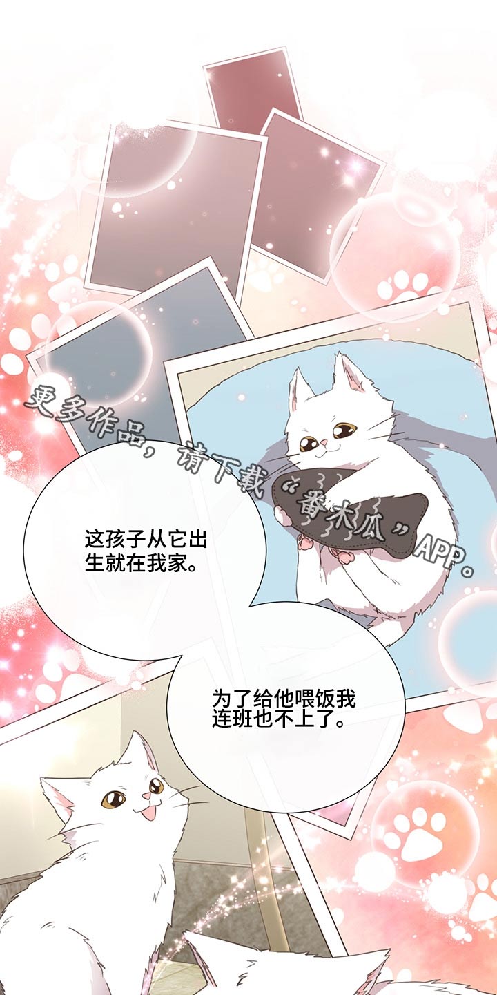 第62话0