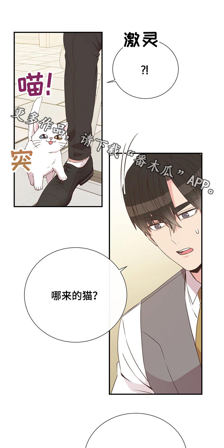 第55话0