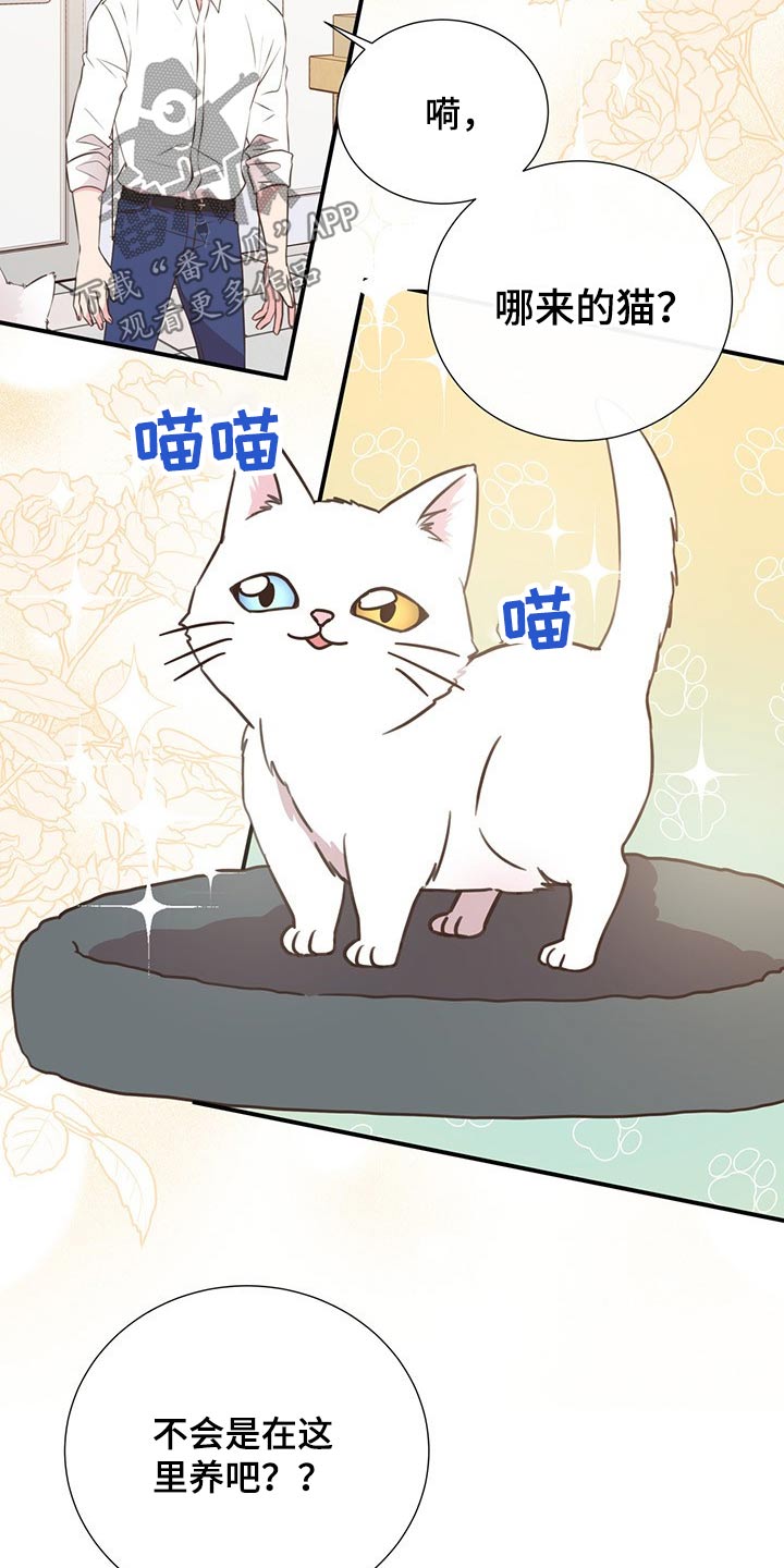 第51话4