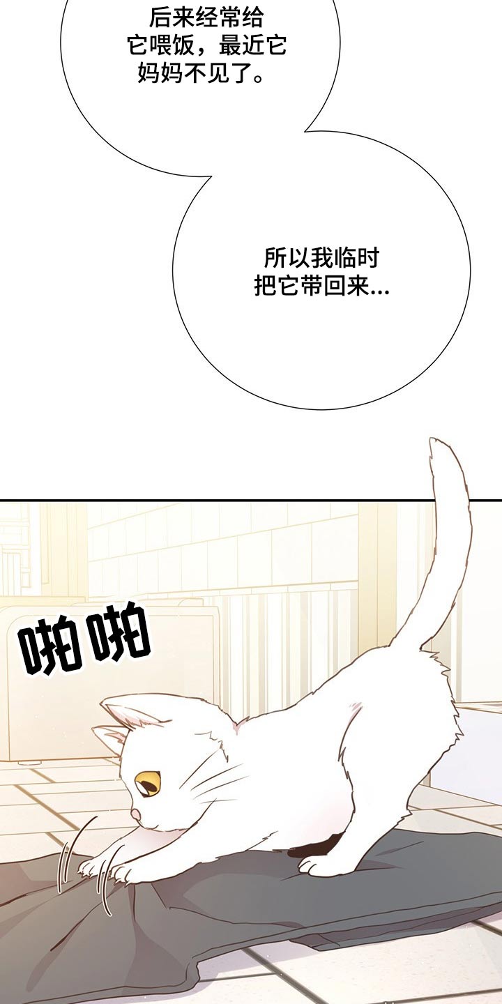 第51话6