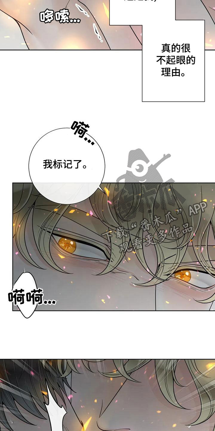 第144话13