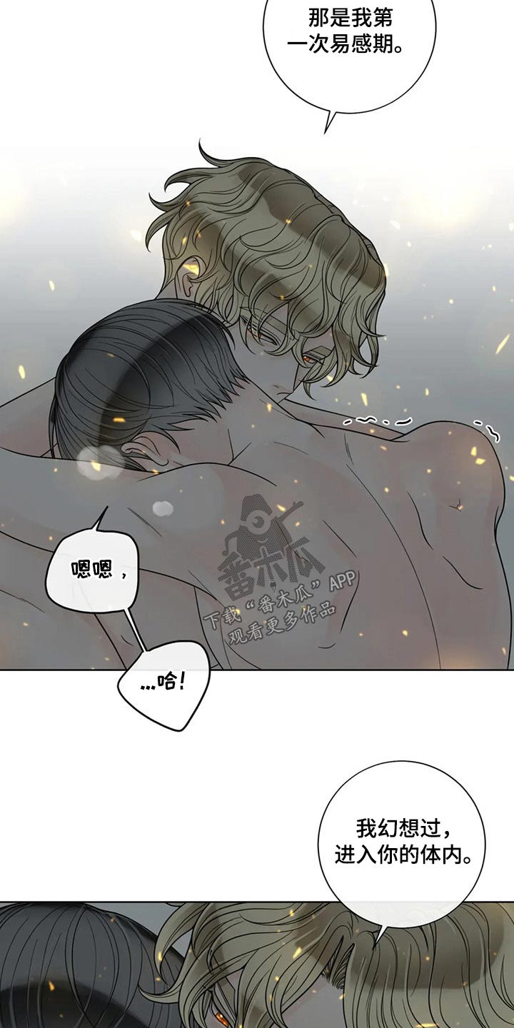 第117话12