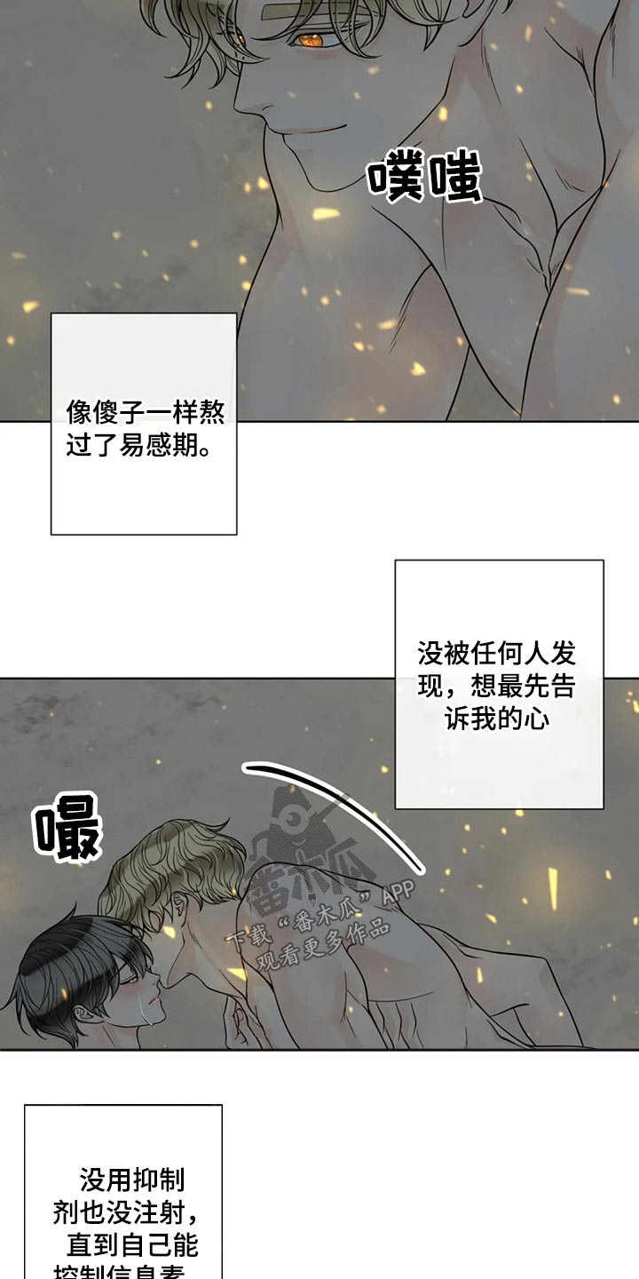 第117话17
