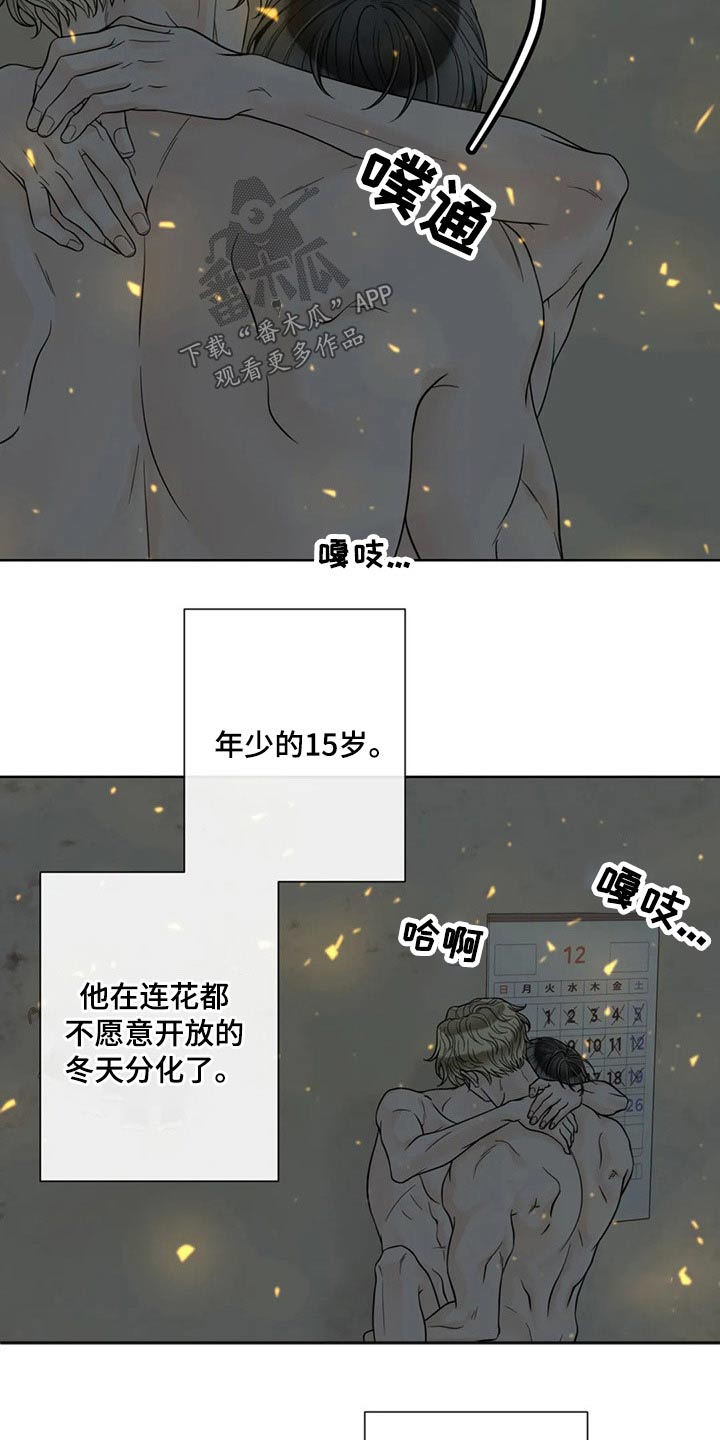 第117话5