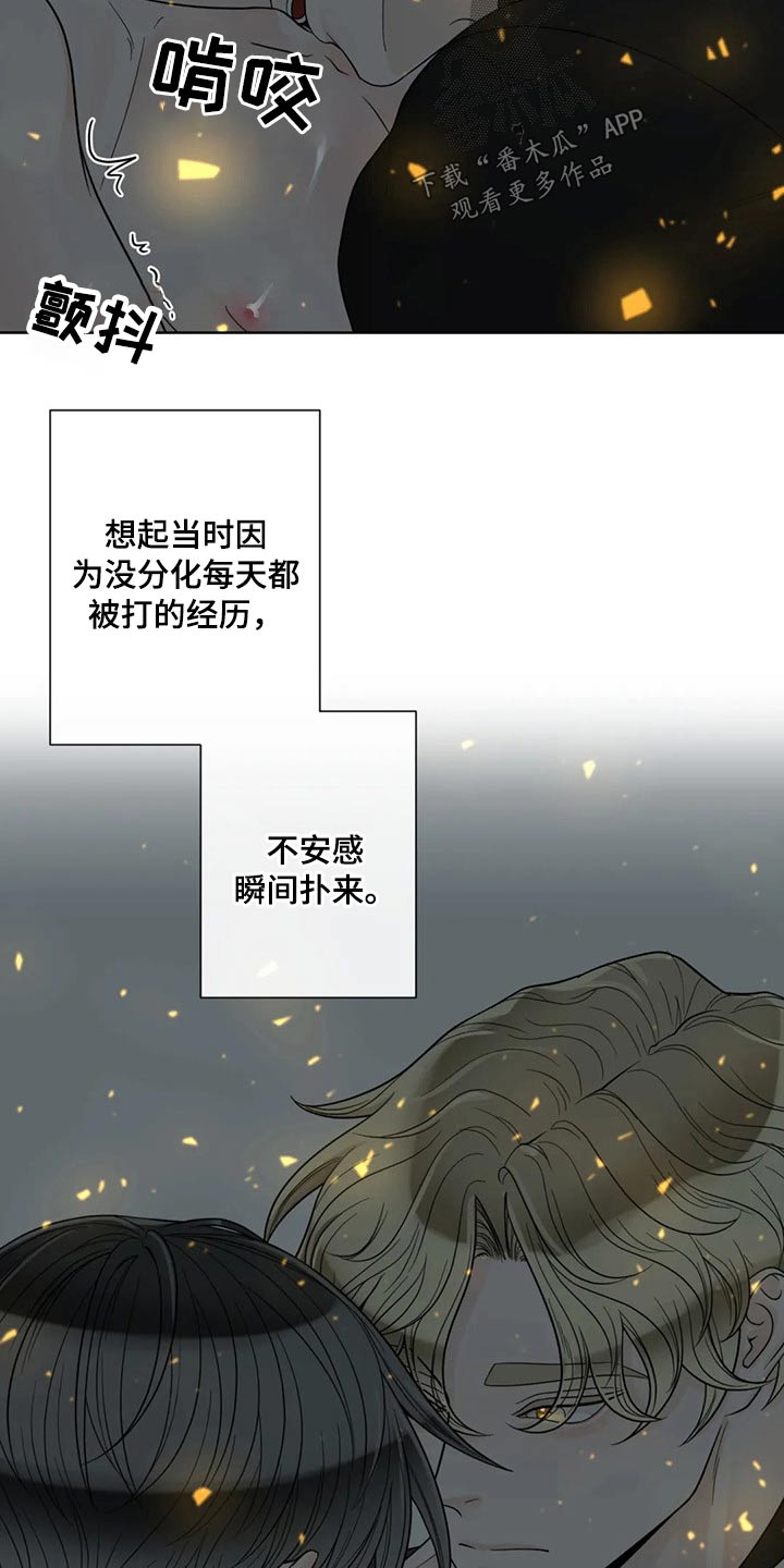 第116话12