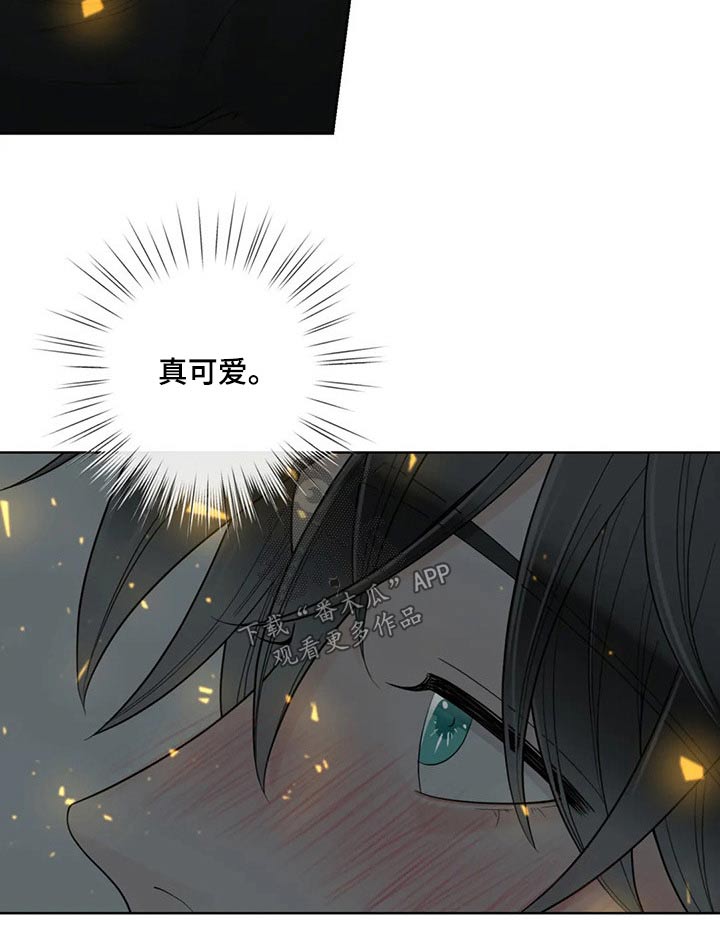 第115话4