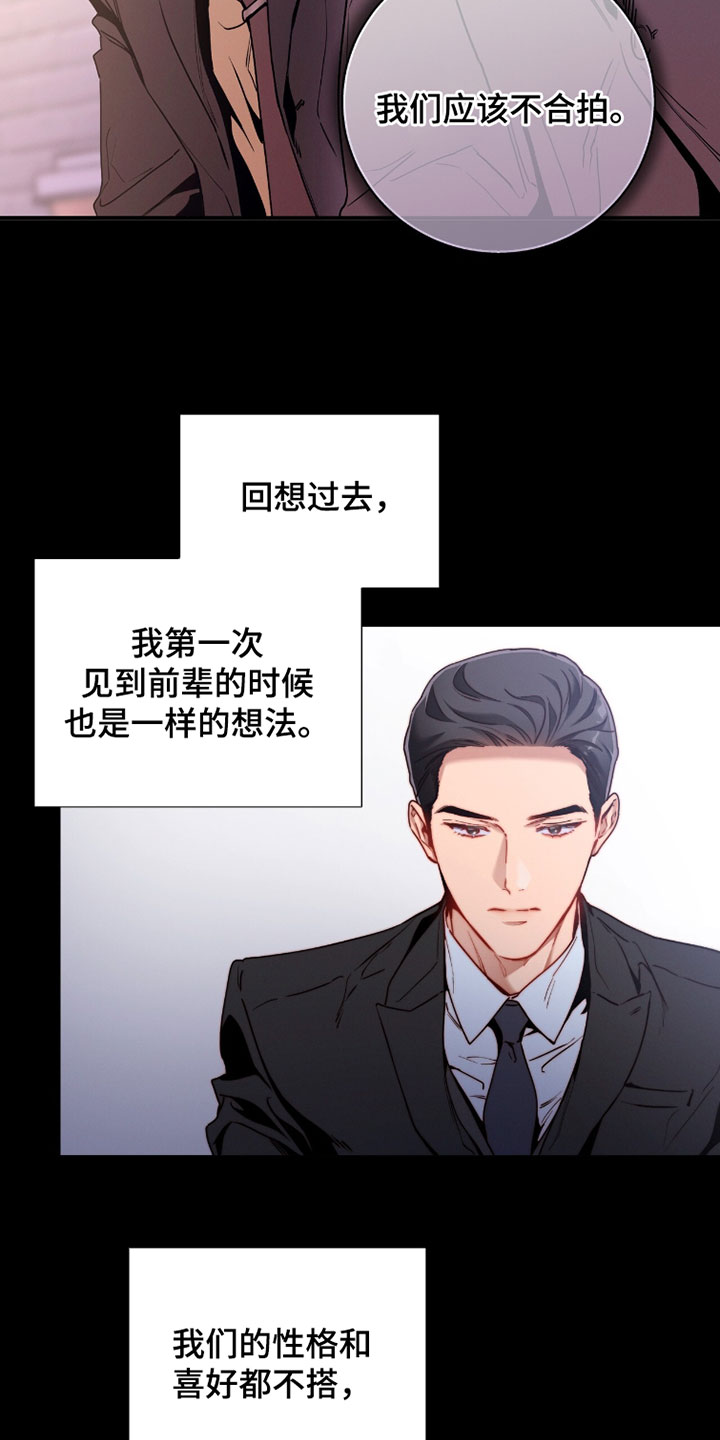 第228话7
