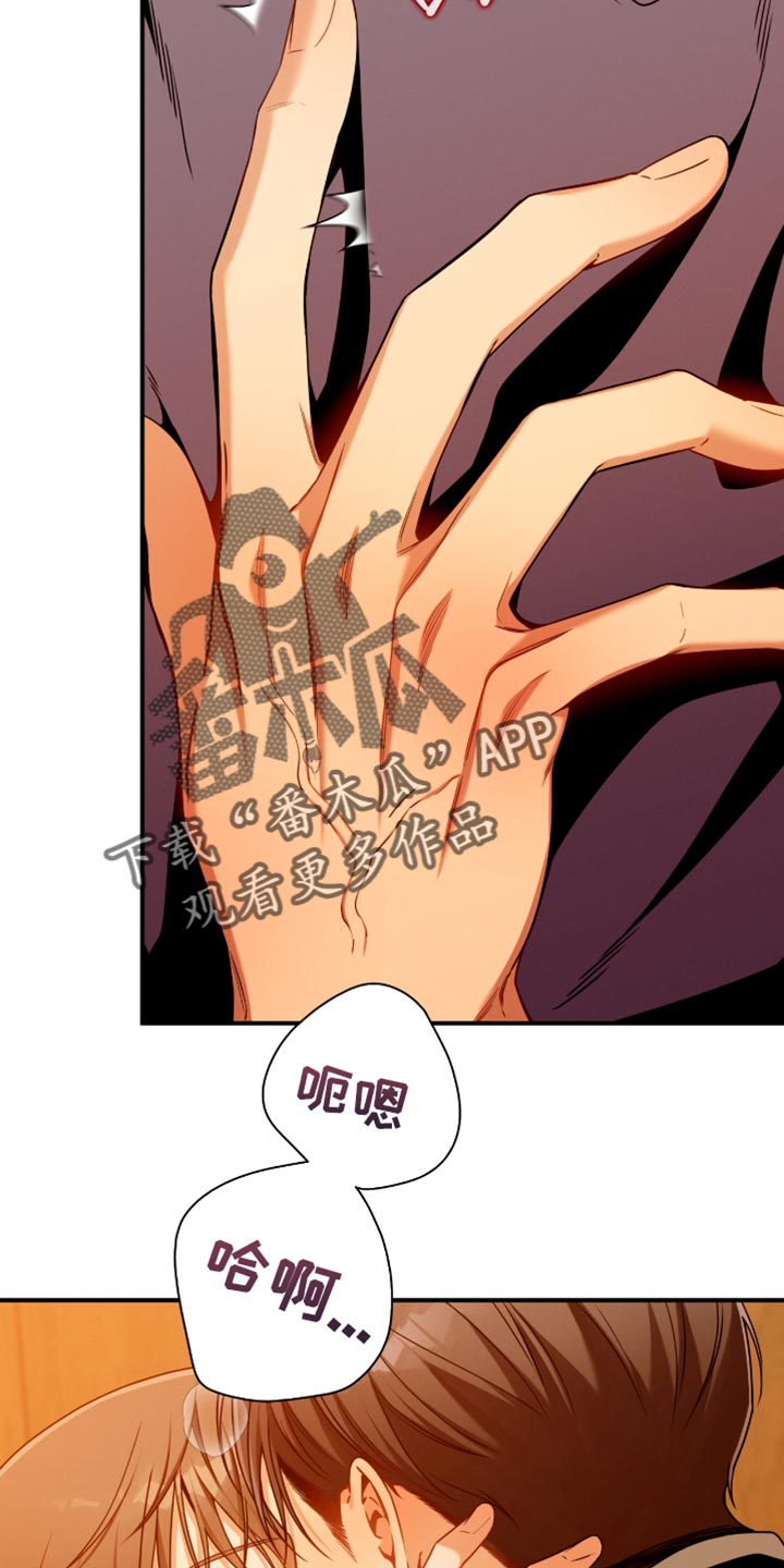 第204话1