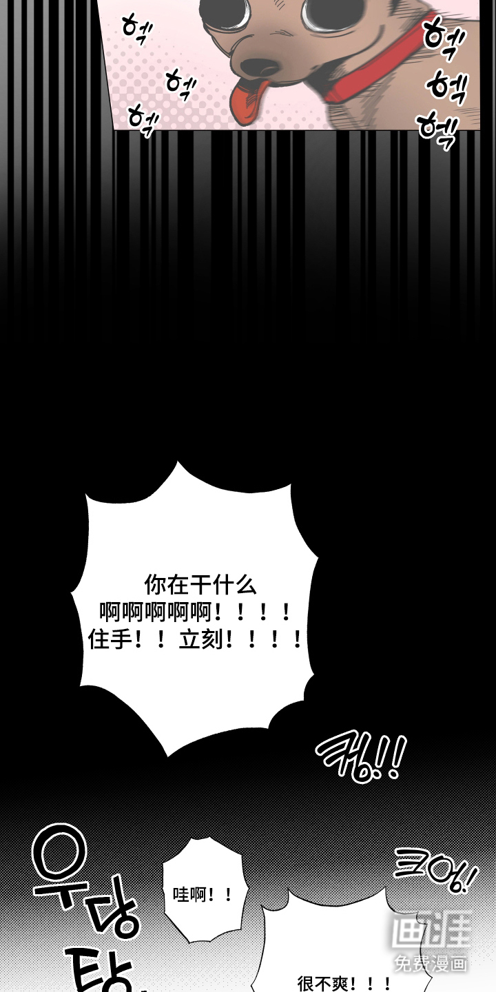 第9话7