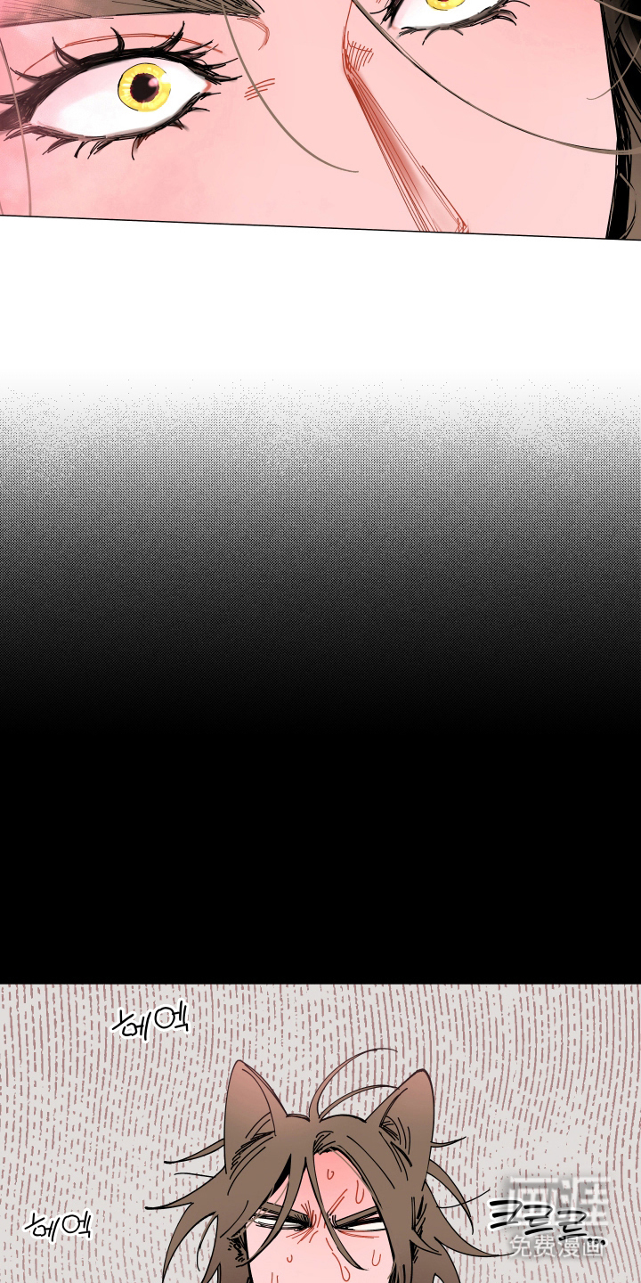 第8话11