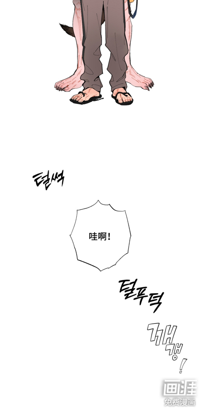 第5话13