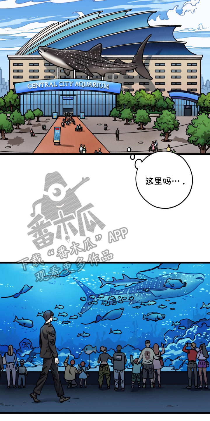 第10话7