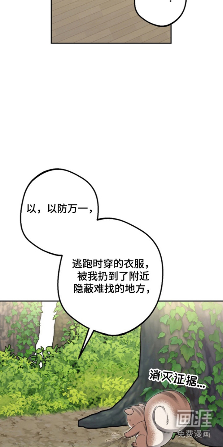 第29话14