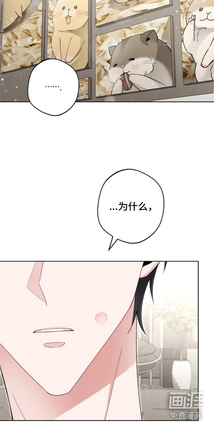 第20话13