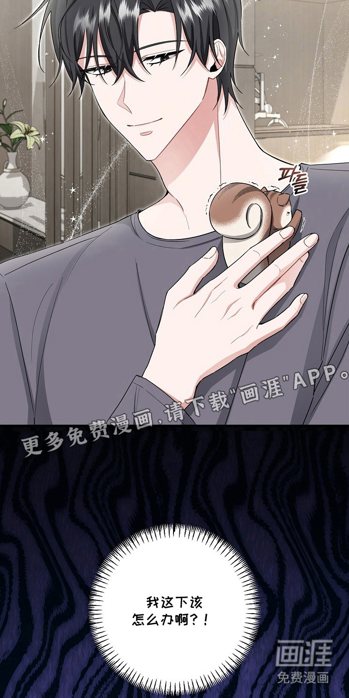 第18话19