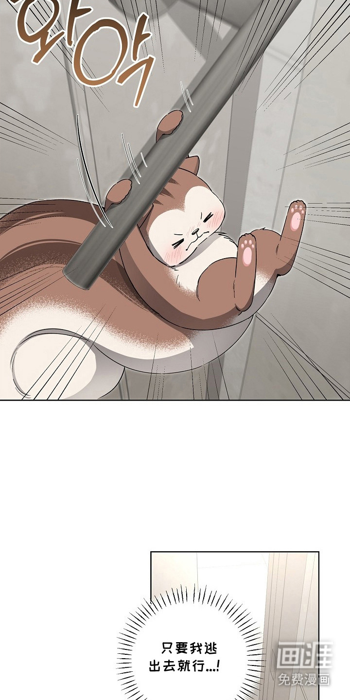 第18话6