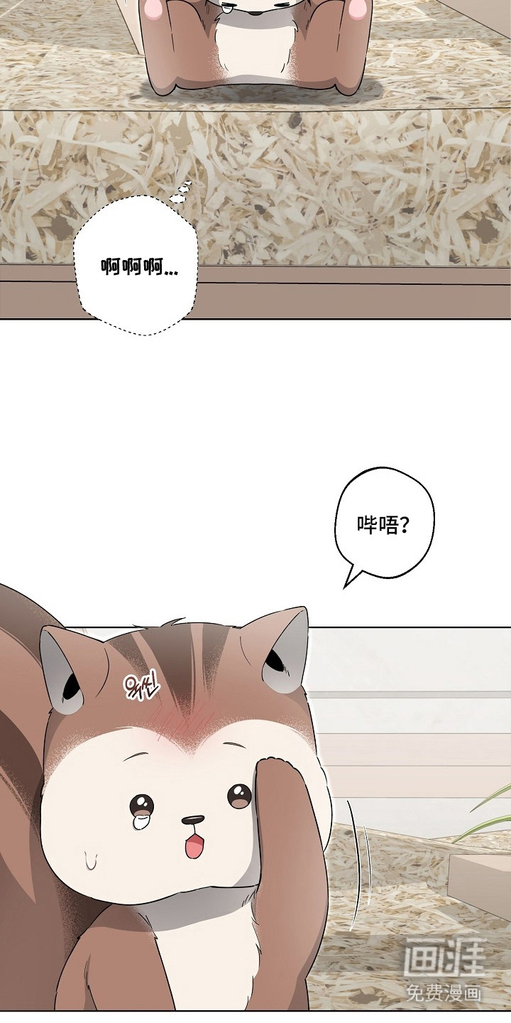 第17话11