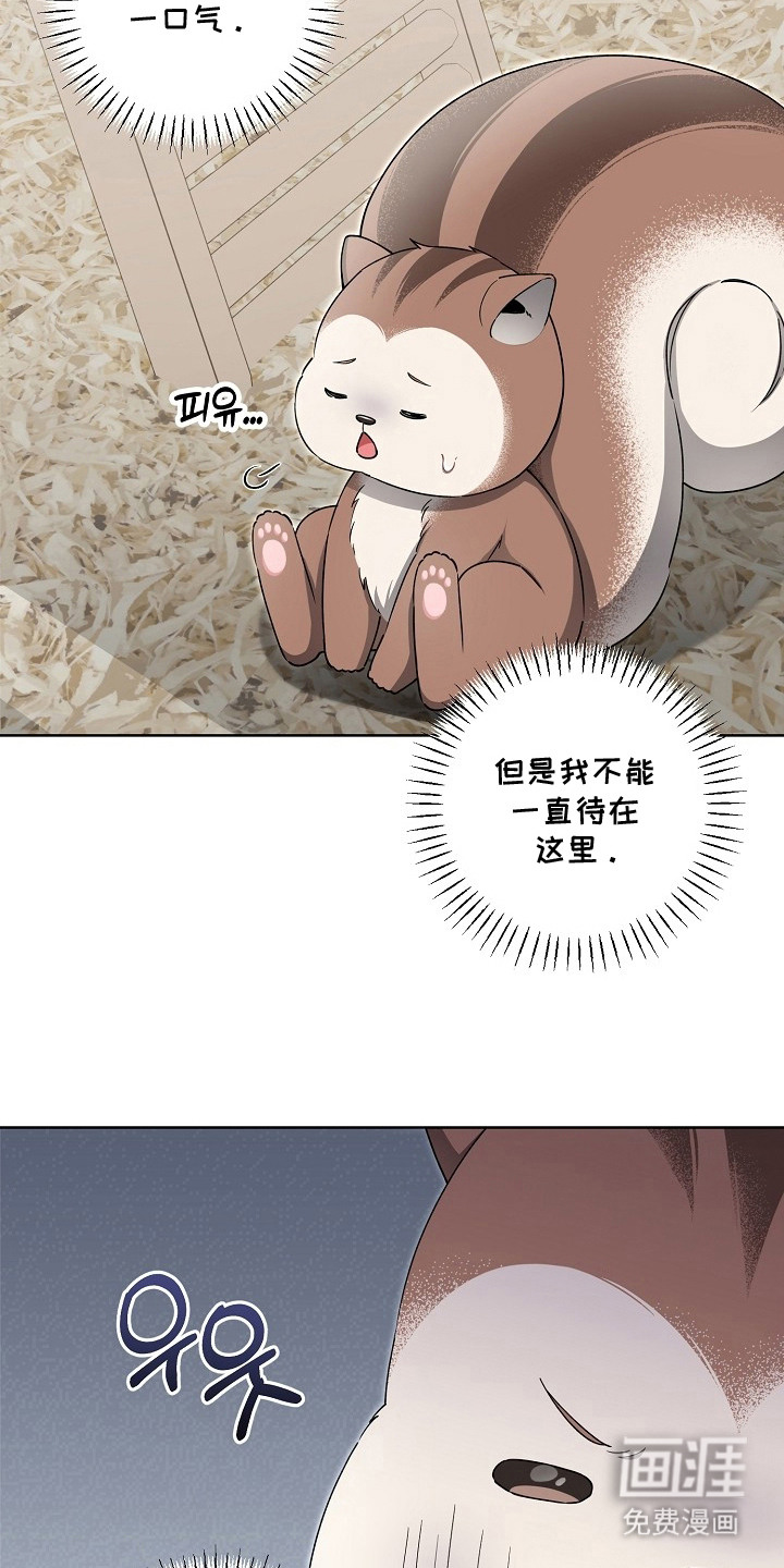 第17话20