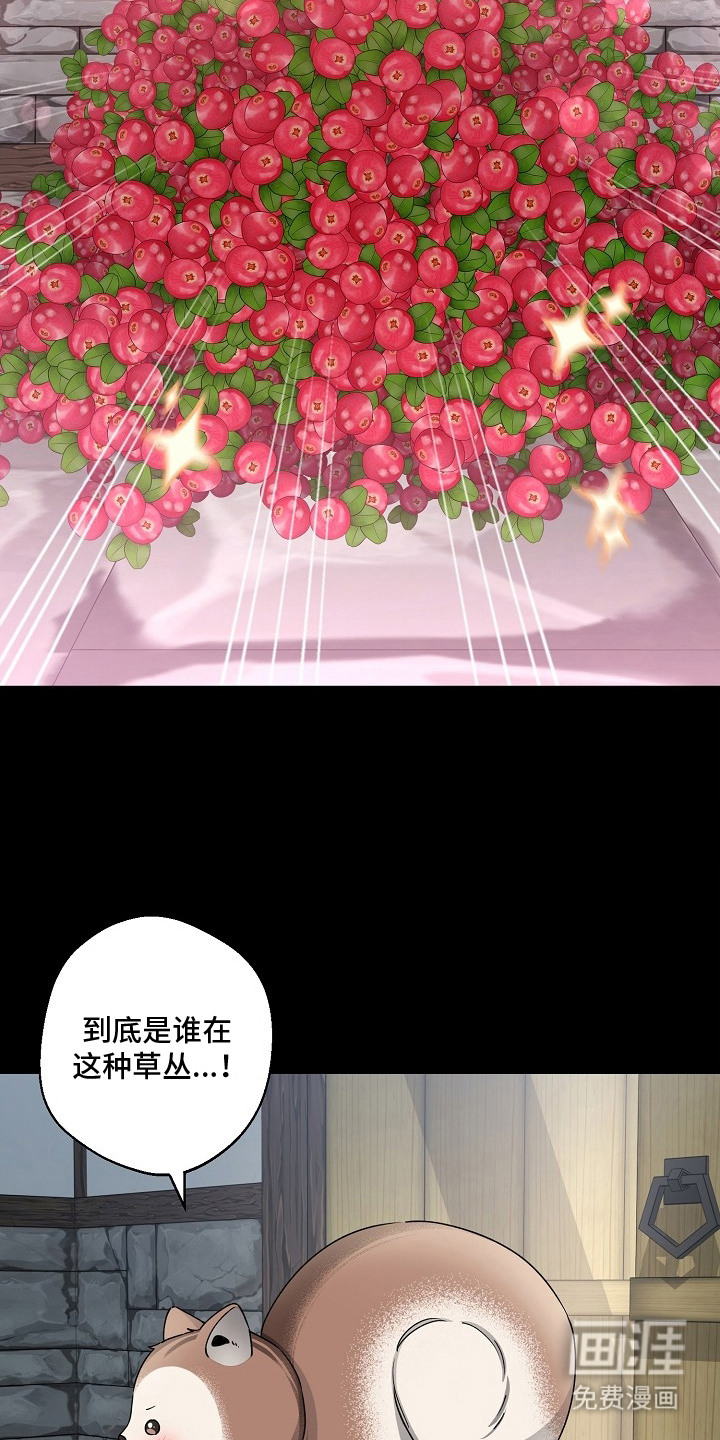 第17话4