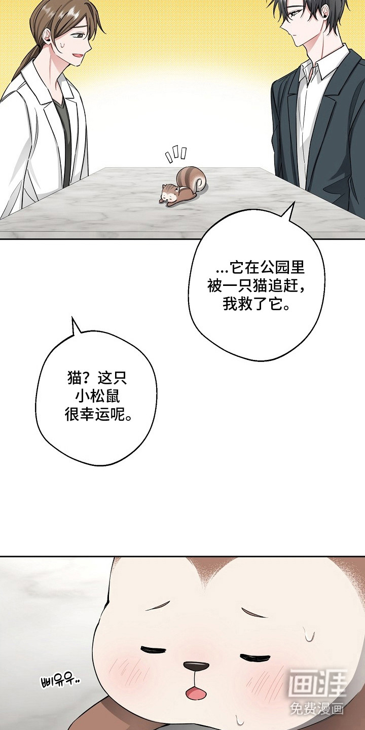 第16话17