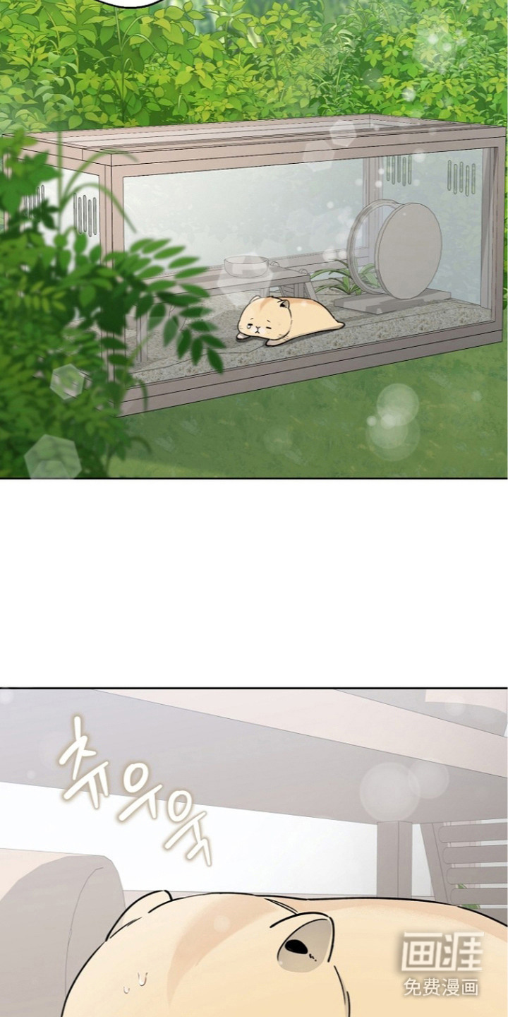 第15话13
