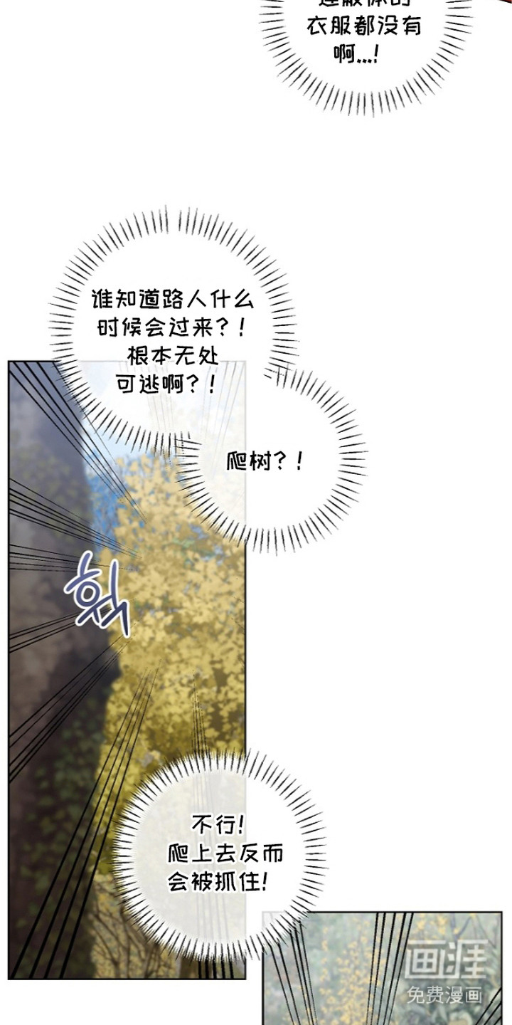 第13话1
