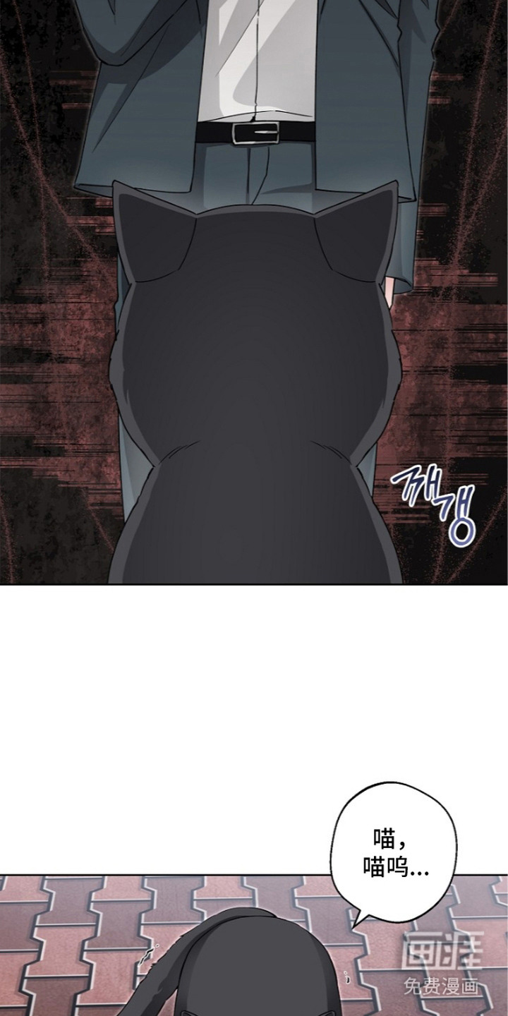 第13话13