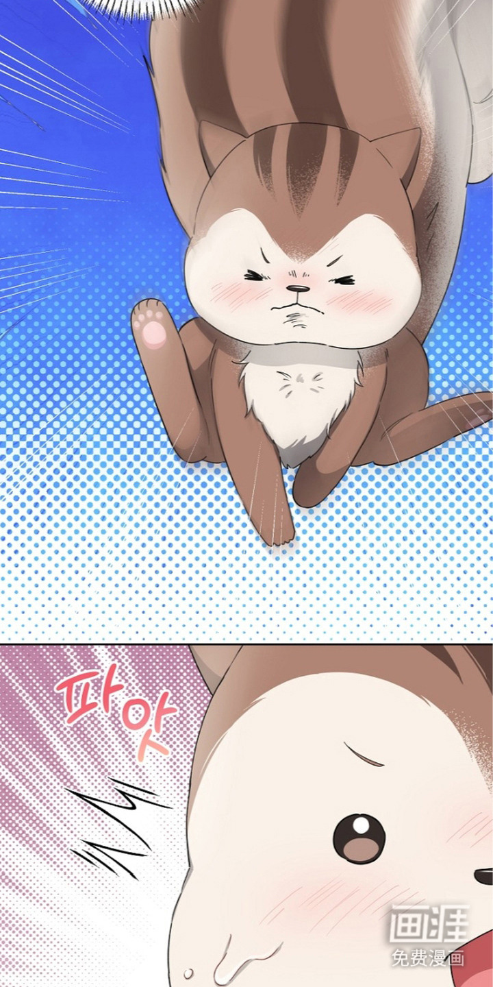 第13话3