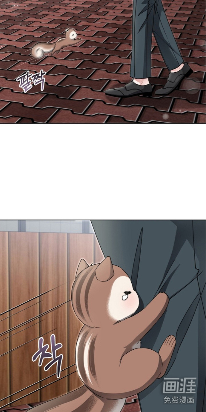 第13话8
