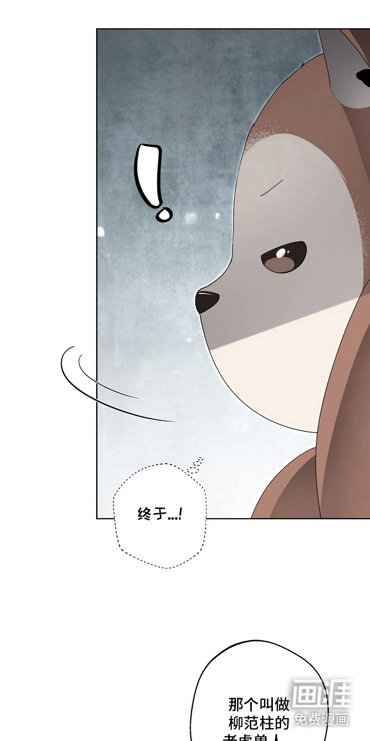 第11话10