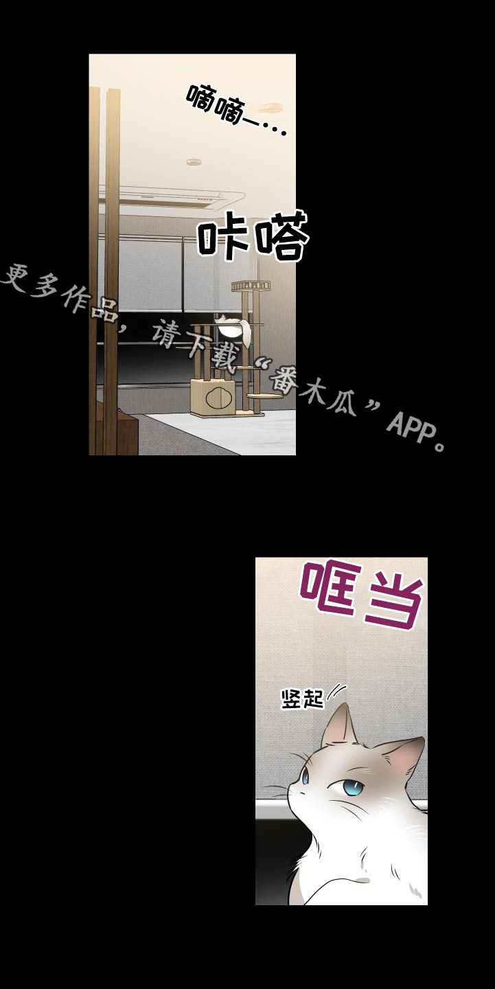 第92话0