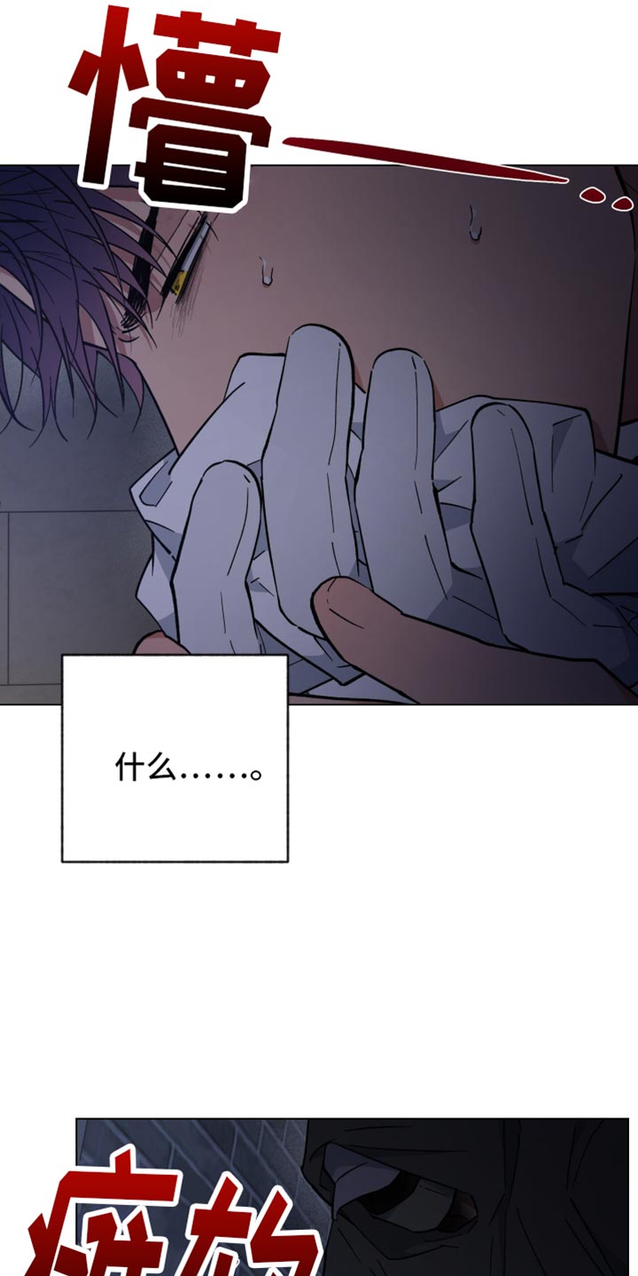 第117话24