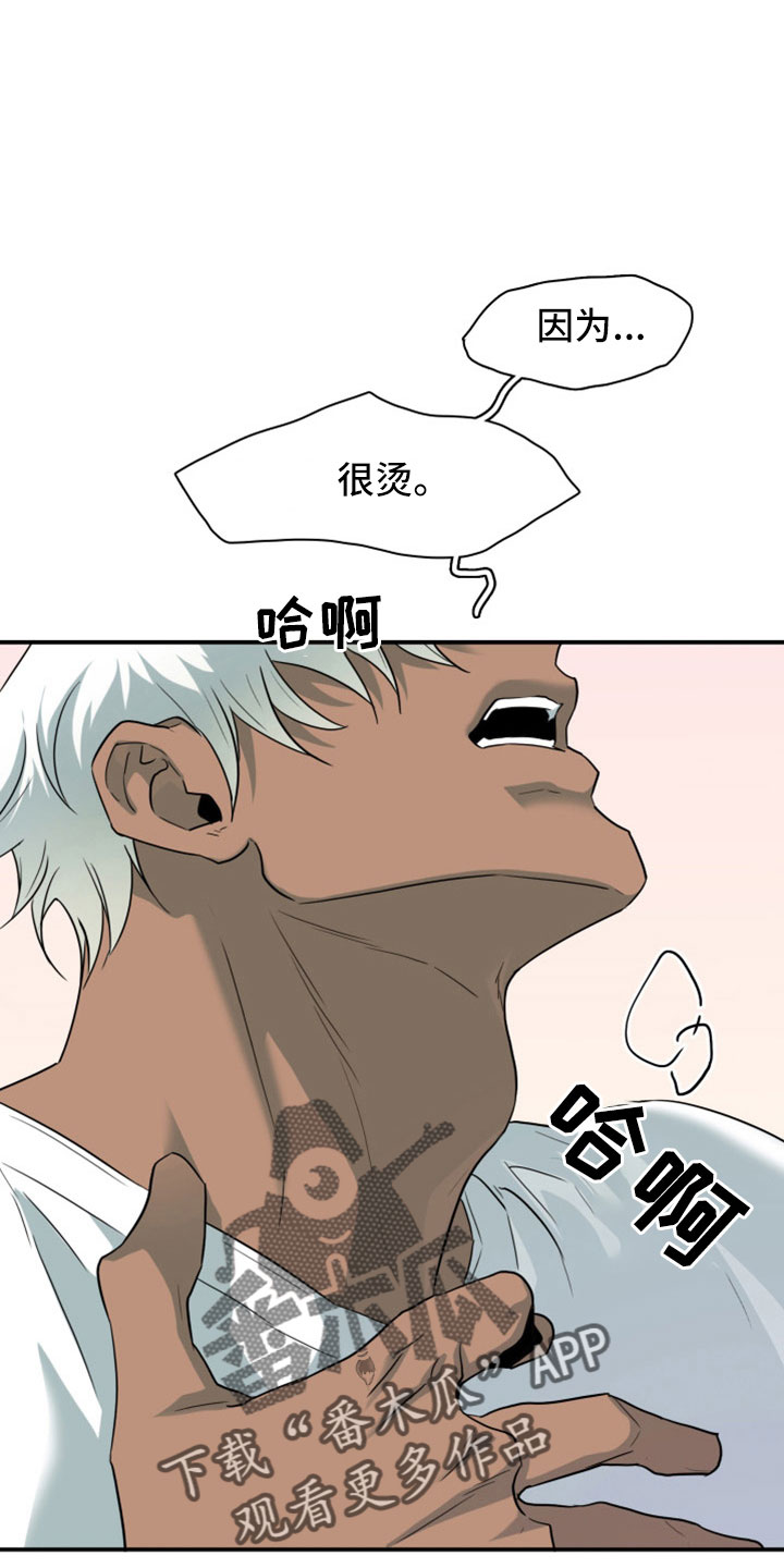 第308话1