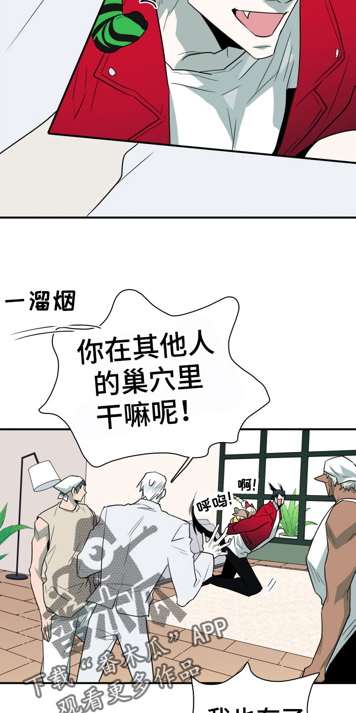 第294话12