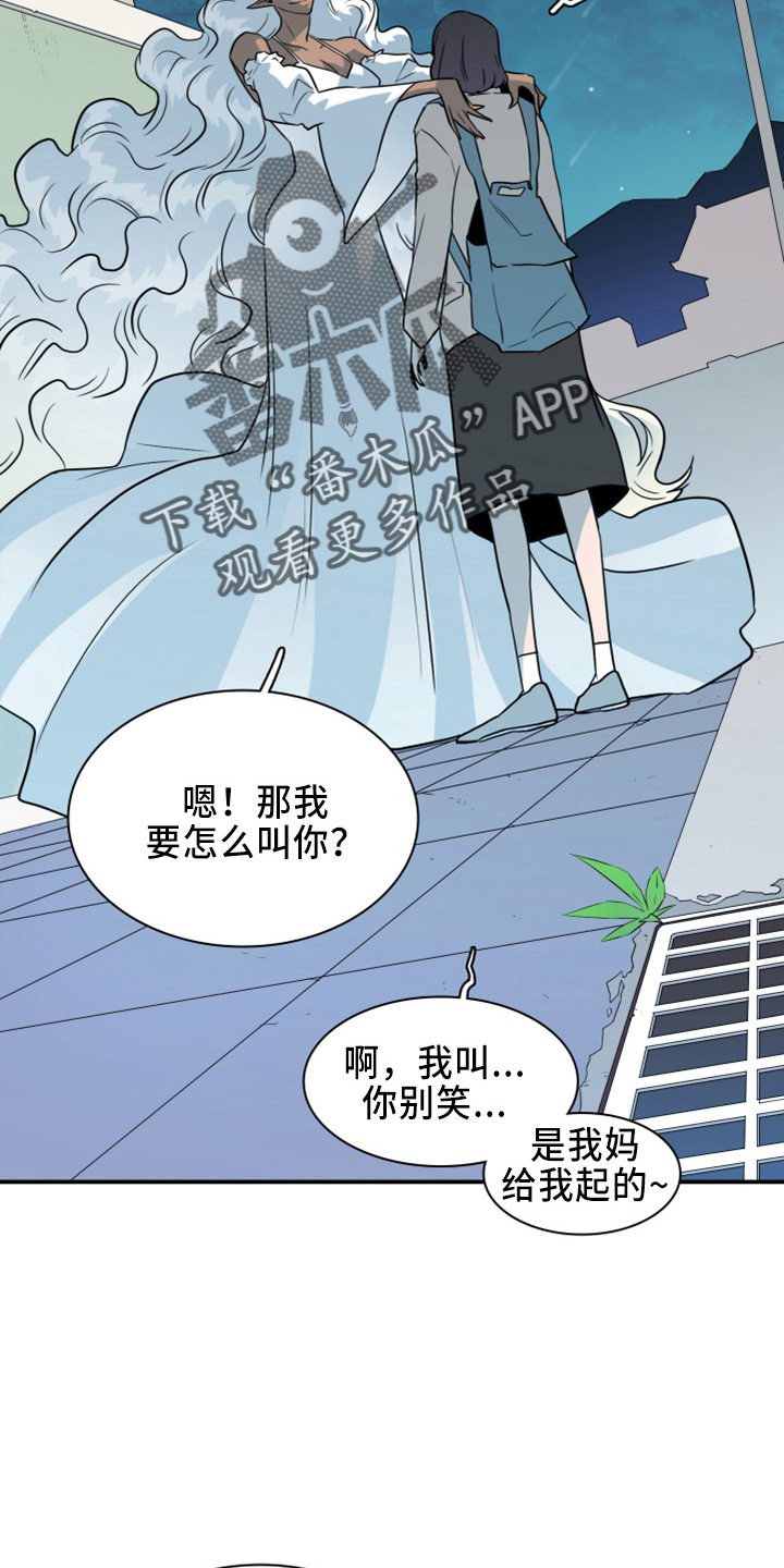 第272话12